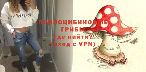 сатива Иннополис