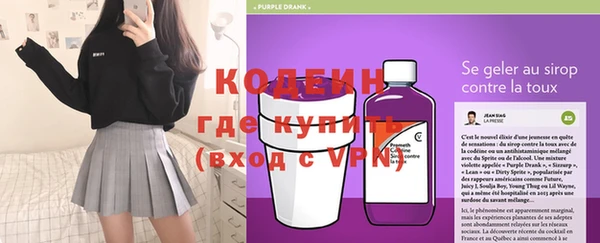 сатива Иннополис