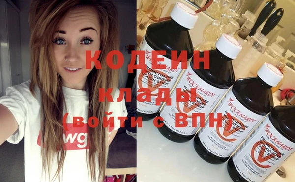 сатива Иннополис