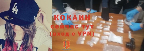 сатива Иннополис