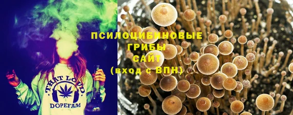 героин Инсар
