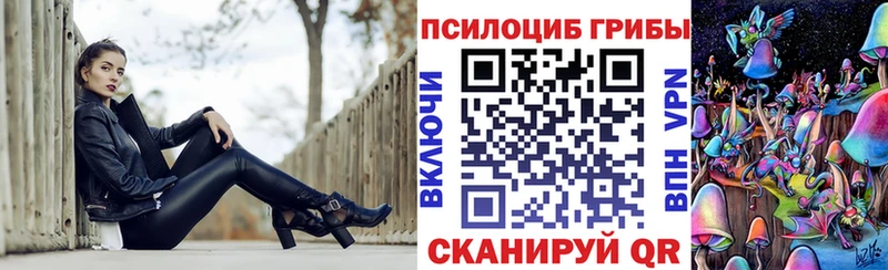 Псилоцибиновые грибы Cubensis  Купить где  Шилка 